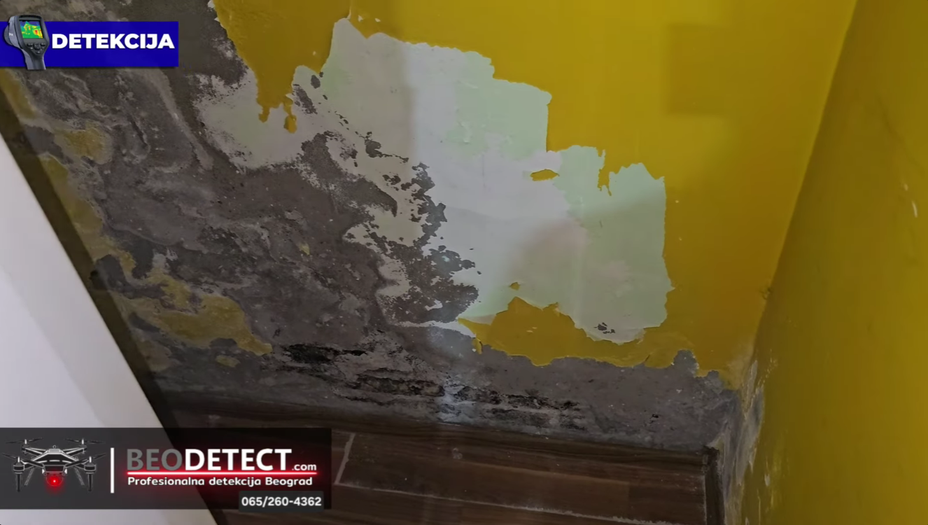 Detekcija curenja vode - Najgori slucaj vlage u zidu - Kuca Bulevar Kralja Aleksandra&hellip;