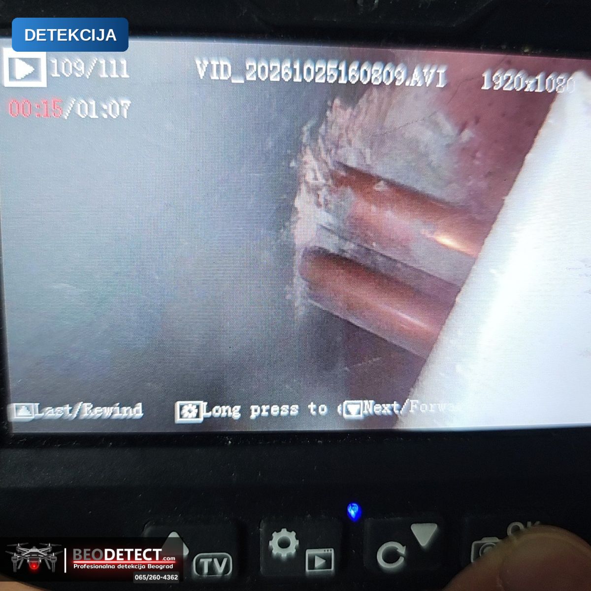 BeoDetect: uzrok vlage i buđi Zemun – zatečeno stanje — Zemun, Beograd