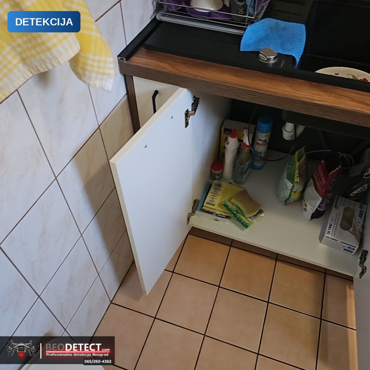 BeoDetect: vlaga i buđ u stanu Zemun – zatečeno stanje — Zemun, Beograd