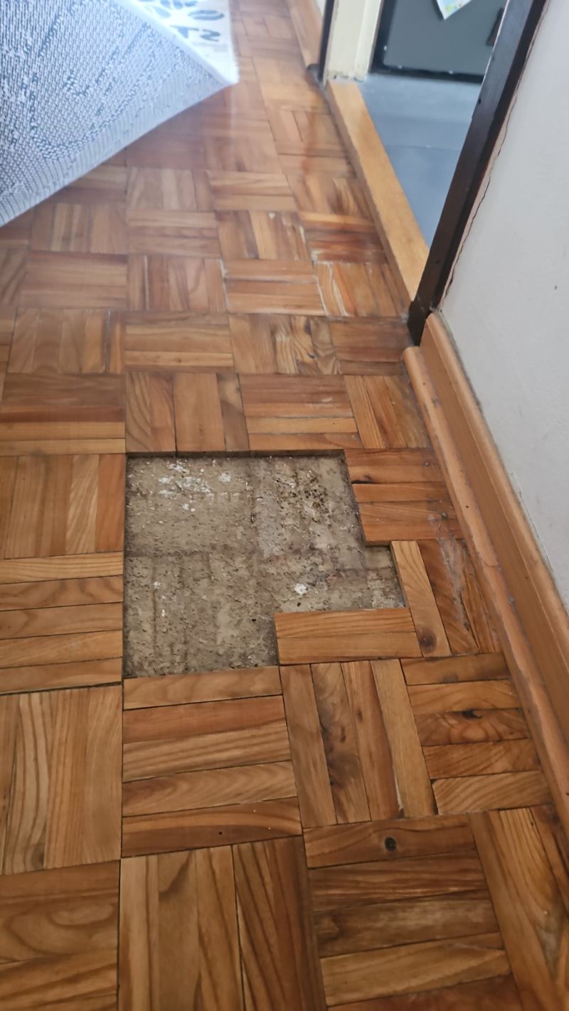 Curenje vode — Novi Beograd, Beograd (BD-2026-0038)