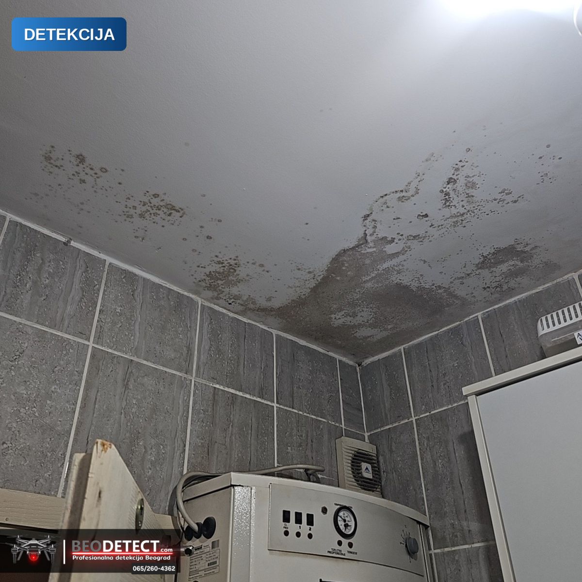 Dijagnostika – uzrok vlage i buđi (Rakovica) | BeoDetect ispitivanje sistema — Rakovica, Beograd