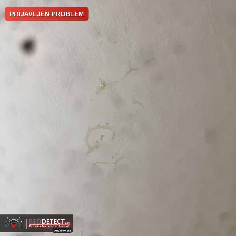 Prijavljen problem – Fleke na plafonu, kuhinja – Curenje vode – Skojevsko naselje, Rakovica | BeoDetect — Skojevsko naselje, Rakovica