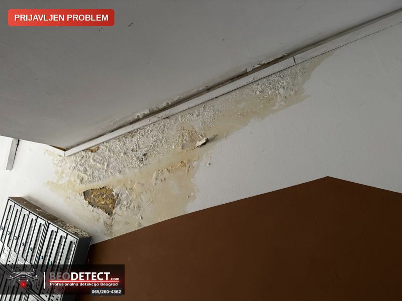 Prijavljen problem – kod mene - Stan Despota Djurdja Stari grad, ja sam u prizemlju, od …, Dorcol, Stari Grad — Dorcol, Stari Grad
