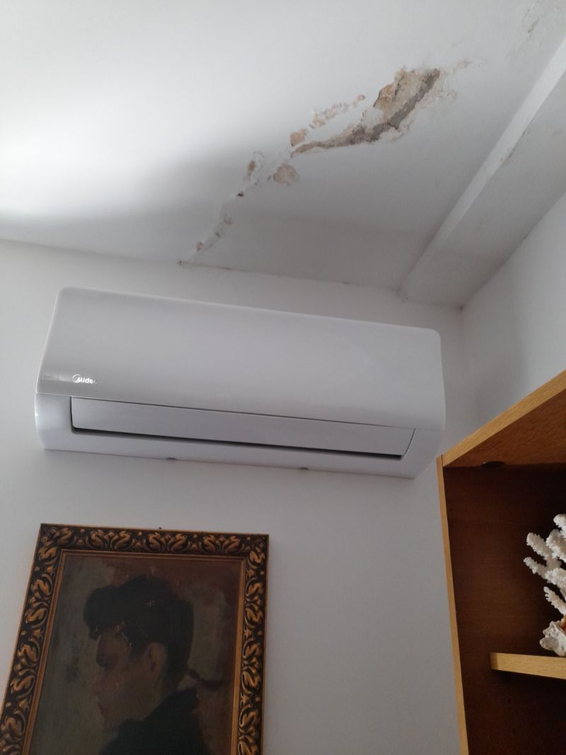 Vlaga i buđ problem ravnog krova - Bulevar despota Stefana — Palilula, Beograd (BD-2026-0031)