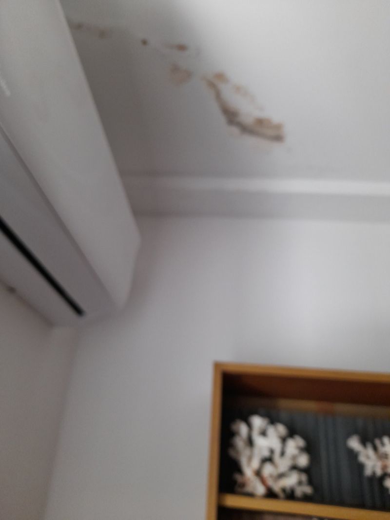 Vlaga i buđ problem ravnog krova - Bulevar despota Stefana — Palilula, Beograd (BD-2026-0031)