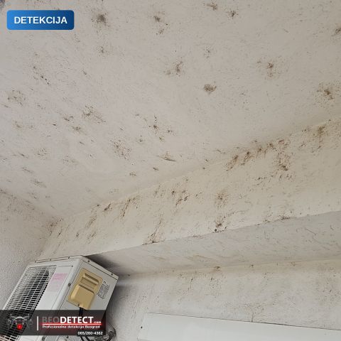 Vlaga i buđ u stanu Rakovica – Merenje vlage | BeoDetect — Rakovica, Beograd